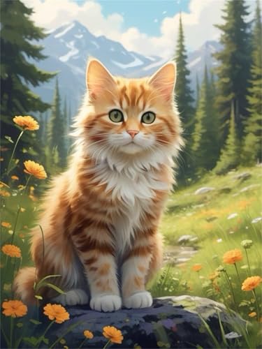 Paint by Numbers,Grassland Cat Paint by Numbers Kits on Canvas for Adults,DIY with frame Hand Painted Oil Painting Kits,with Brushes Easy Acrylic Pigment Drawing Paintwork for Home Wall Decor 30x40cm von taesdvry