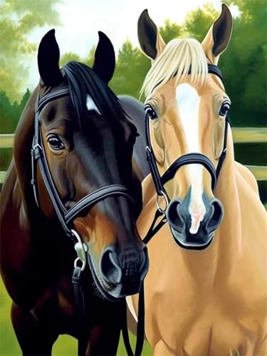 Paint by Numbers,Love Horse Paint by Numbers Kits on Canvas for Adults,DIY with frame Hand Painted Oil Painting Kits,with Brushes Easy Acrylic Pigment Drawing Paintwork for Home Wall Decor 60x90cm Paint by Numbers,Love Horse Paint by Numbers Kits on Canvas for Adults,DIY with frame Hand Painted Oil Painting Kits,with Brushes Easy Acrylic Pigment Drawing Paintwork for Home Wall Decor 60x90cm von taesdvry