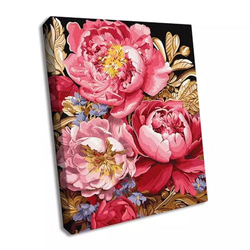 Paint by Numbers,Peony Pink Red Paint by Numbers Kits on Canvas for Adults,DIY with frame Hand Painted Oil Painting Kits,with Brushes Easy Acrylic Pigment Drawing Paintwork for Home Wall Decor 60x90cm Paint by Numbers,Peony Pink Red Paint by Numbers Kits on Canvas for Adults,DIY with frame Hand Painted Oil Painting Kits,with Brushes Easy Acrylic Pigment Drawing Paintwork for Home Wall Decor 60x90cm von taesdvry