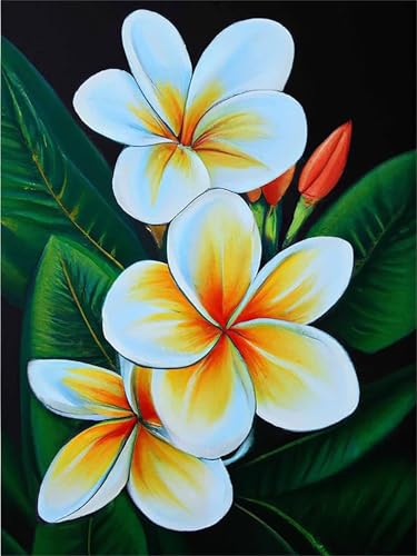 Paint by Numbers,White Yellow Flowers Paint by Numbers Kits on Canvas for Adults,DIY with frame Hand Painted Oil Painting Kits,with Brushes Easy Acrylic Pigment Drawing for Home Wall Decor 60x90cm Paint by Numbers,White Yellow Flowers Paint by Numbers Kits on Canvas for Adults,DIY with frame Hand Painted Oil Painting Kits,with Brushes Easy Acrylic Pigment Drawing for Home Wall Decor 60x90cm von taesdvry
