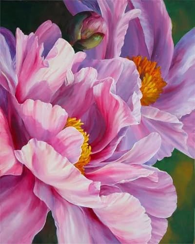taesdvry Malen Nach Zahlen Erwachsene Iris Pink,DIY Handgemalt Ölgemälde Leinwand Kits für AnfÃnger,mit Pinseln Acrylfarben Paint by Numbers Kits fur Heimdekoration mit Rahmen,55x70cm taesdvry Malen Nach Zahlen Erwachsene Iris Pink,DIY Handgemalt Ölgemälde Leinwand Kits für AnfÃnger,mit Pinseln Acrylfarben Paint by Numbers Kits fur Heimdekoration mit Rahmen,55x70cm von taesdvry