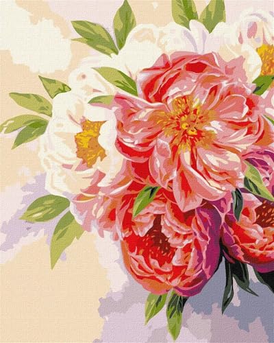 taesdvry Malen Nach Zahlen Erwachsene Weiß-Rosa Pfingstrose,DIY Handgemalt Ölgemälde Leinwand Kits für AnfÃnger,mit Pinseln Acrylfarben Paint by Numbers Kits fur Heimdekoration Ohne Rahmen,60x75cm taesdvry Malen Nach Zahlen Erwachsene Weiß-Rosa Pfingstrose,DIY Handgemalt Ölgemälde Leinwand Kits für AnfÃnger,mit Pinseln Acrylfarben Paint by Numbers Kits fur Heimdekoration Ohne Rahmen,60x75cm von taesdvry