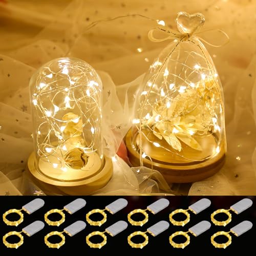taiyongkang Mini Lichterkette 12 Stück Mit Batterie 2M 20 LED Knopfbatterie Wasserdicht IP65 Feenlichter Für Innen Außen Weihnachten Hochzeit Basteln DIY Dekoration von taiyongkang