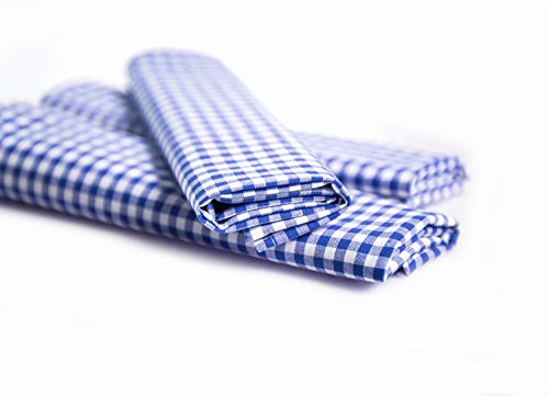 TextilDepot24 Landhaus Tischdecken in 5 mm Karo 100% Baumwolle Läufer Servietten (40 x 40 cm - 12 Stück, Blau-Weiß kariert) von texpot