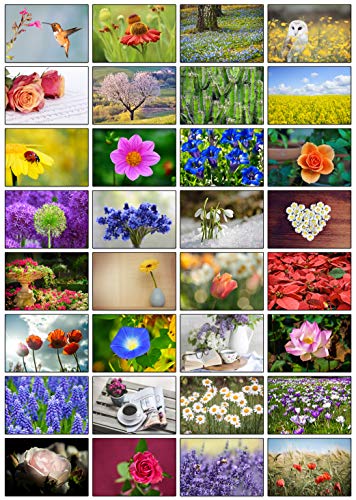 32 Grußkarten Blumen Klappkarten mit 32 Umschlägen Blumen & Garten von the lazy panda card company