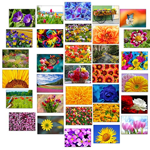 32 Grußkarten bunte Blumen Klappkarten mit 32 Umschlägen Blumen & Garten… von the lazy panda card company