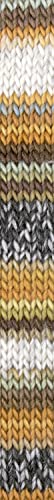 Katia Kirei Color 304 | reine Wolle Farbverlauf | reine Schurwolle zum Stricken oder Häkeln | dicke Merinowolle mit Farbverlauf von theofeel