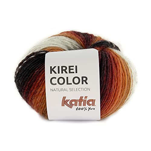 Katia Kirei Color 306 | reine Wolle Farbverlauf | reine Schurwolle zum Stricken oder Häkeln | dicke Merinowolle Nadelstärke 5 bis 5,5 mm | 100g 160m von theofeel