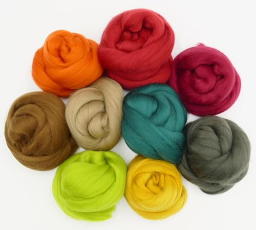 Mix Paket Filzwolle Merino Kammzug, feine Merinowolle zum filzen, trockenfilzen, nassfilzen, Märchenwolle, Spinnfasern bunt, 200g (Herbst) von theofeel
