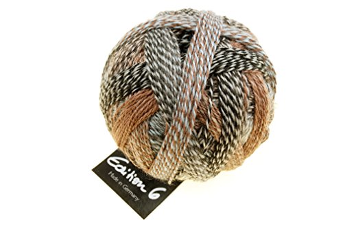 Schoppel Zauberball Edition 6 Farbe 2349 Spurenelemente | 100% Wolle | Merinowolle fine für Nadelstärke 2-3 mm, 50g von theofeel