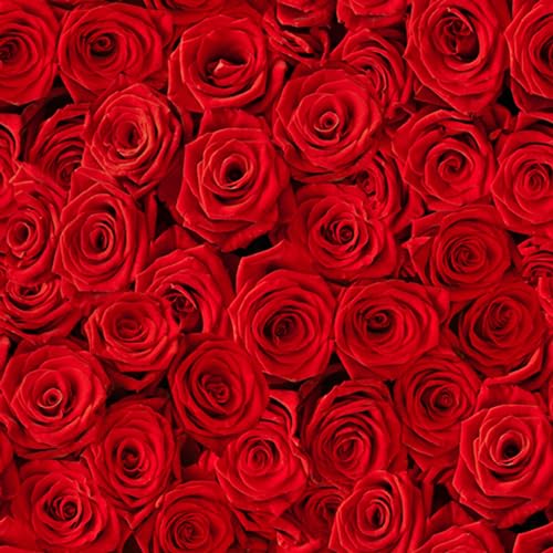20 Servietten Rotes Rosenbett | Rosen | Blumen | Hochzeit | Valentinstag | Frauentag | Muttertag | Tischdeko | Decoupage | Serviettentechnik 33x33cm 20 Servietten Rotes Rosenbett | Rosen | Blumen | Hochzeit | Valentinstag | Frauentag | Muttertag | Tischdeko | Decoupage | Serviettentechnik 33x33cm von ti-flair