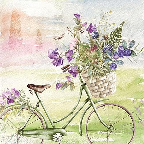 20 Servietten Sommer Fahrrad mit Korb aus der Natur als Tischdeko. Papierservietten mit Motiv. Auch für Decoupage und Serviettentechnik 33x33cm von ti-flair