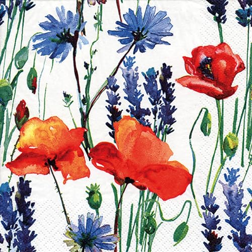 Servietten Papier 33x33cm 3-lagig 20 Stück - hochwertig & nachhaltig - Einweg Hochzeitsservietten - Papierservietten für Hochzeit Gastronomie Alltag - Mohnblumen Kornblumen - Rot Blau Servietten Papier 33x33cm 3-lagig 20 Stück - hochwertig & nachhaltig - Einweg Hochzeitsservietten - Papierservietten für Hochzeit Gastronomie Alltag - Mohnblumen Kornblumen - Rot Blau von ti-flair