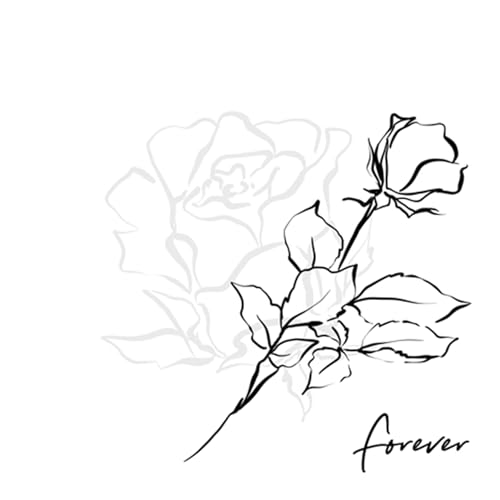 Servietten Papier 33x33cm 3-lagig 20 Stück - hochwertig & nachhaltig - Einweg Hochzeitsservietten - Papierservietten für Hochzeit Gastronomie Alltag - Rosenmotiv Forever Weiß Schwarz Servietten Papier 33x33cm 3-lagig 20 Stück - hochwertig & nachhaltig - Einweg Hochzeitsservietten - Papierservietten für Hochzeit Gastronomie Alltag - Rosenmotiv Forever Weiß Schwarz von ti-flair