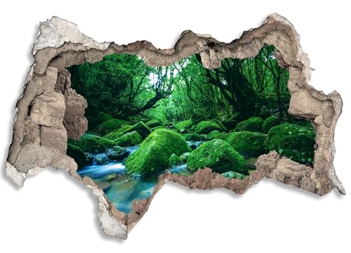 3D Wandtattoo selbstklebend Wanddurchbruch | Loch in der Wand Mauerloch | Wetterfeste Wandsticker Gross Innen und Outdoor | 90x60cm Wald Moos Bach 3D Wandtattoo selbstklebend Wanddurchbruch | Loch in der Wand Mauerloch | Wetterfeste Wandsticker Gross Innen und Outdoor | 90x60cm Wald Moos Bach von timalo