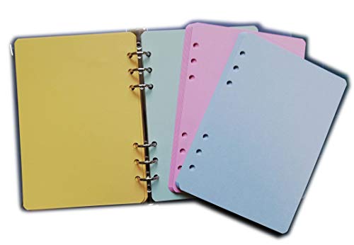 Ersatz/Nachfüllpack für Terminplaner "A5" mit 6 Ringen 14x20cm (100 Karten in 4 Farben A5 6 Löcher) von tipome.com