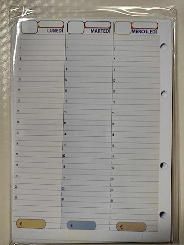 Ersatzpapier für A5-Ordner mit 4 Löchern (ohne ewige Datum) von tipome