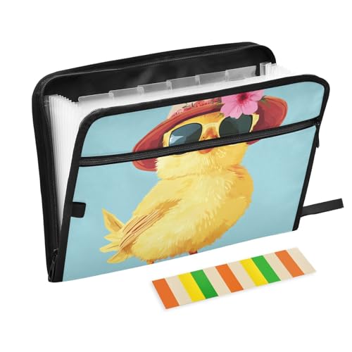 Fächermappe, 13 Fächer, A4, Briefgröße mit Reißverschluss, für Zuhause, Büro, Mode, Küken, Carpeta de von tplaotee