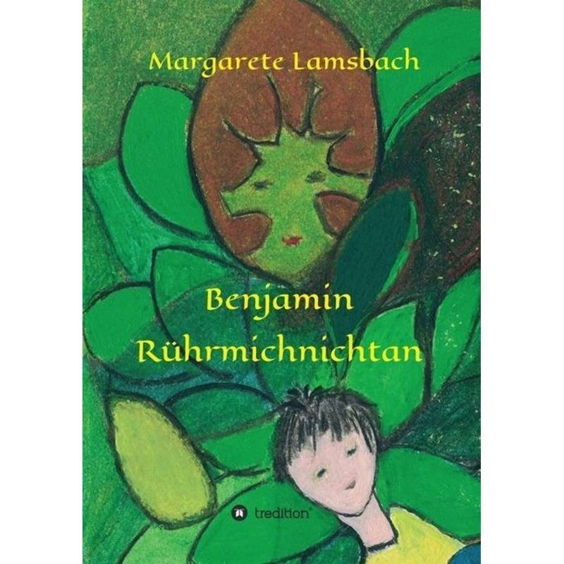 Benjamin Rührmichnichtan - Margarete Lamsbach, Kartoniert (TB) von tredition