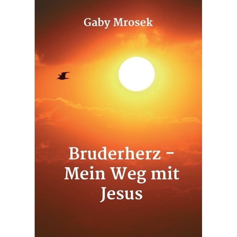 Bruderherz - Mein Weg Mit Jesus - Gaby Mrosek, Kartoniert (TB) von tredition