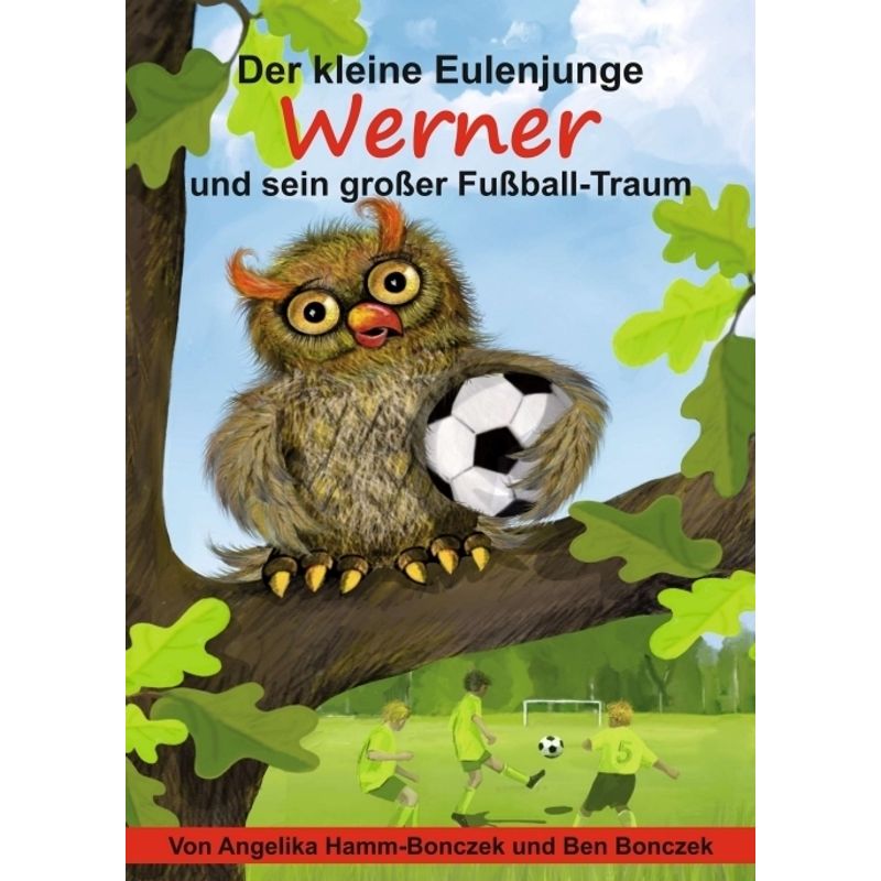 Der Kleine Eulenjunge Werner Und Sein Großer Fußball-Traum - Angelika Hamm-Bonczek, Kartoniert (TB) von tredition