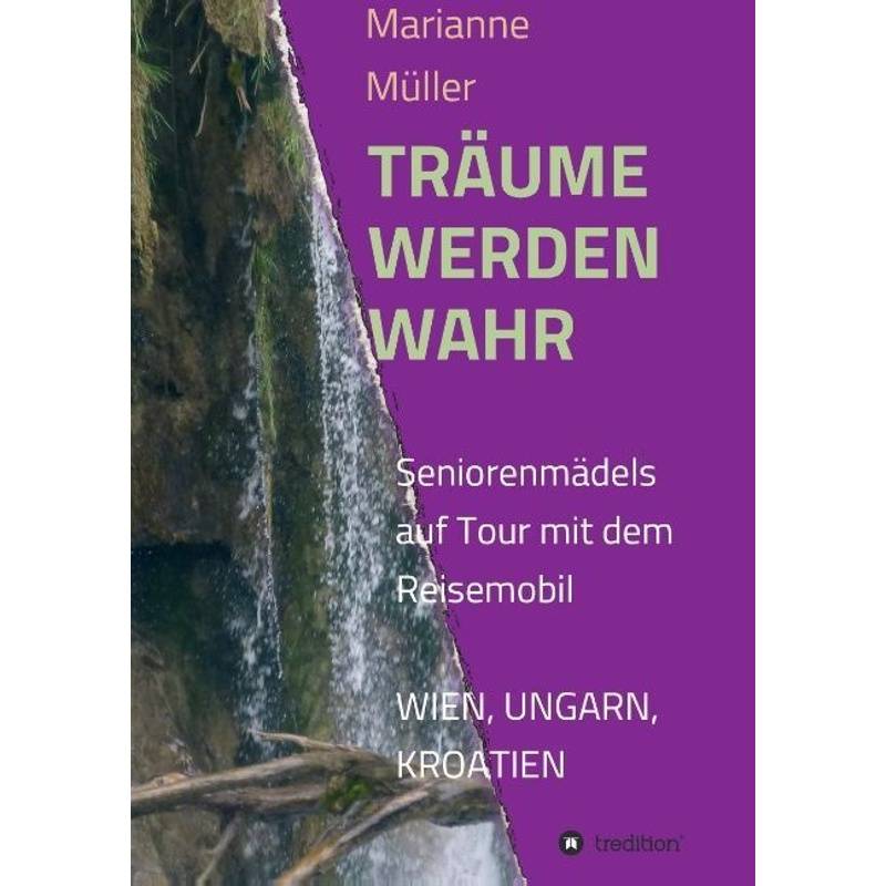 Träume Werden Wahr - Marianne Müller, Kartoniert (TB) von tredition