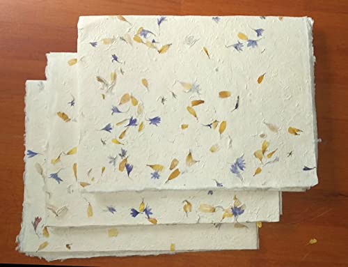 Geschenkpapier Kornblumen- und Sonnenblumenblüten Seidelbast Papier handgeschöpftes Büttenpapier 3 große Bogen ca. 75/50cm m. Büttenrand von tribal paper