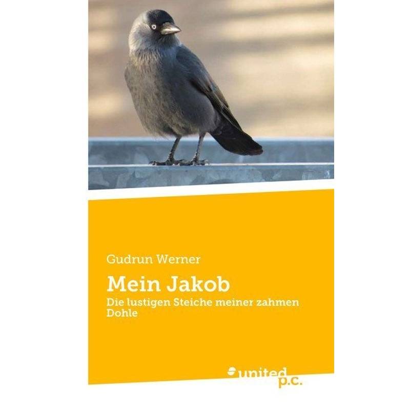 Mein Jakob - Gudrun Werner, Kartoniert (TB) von united p.c. Verlag