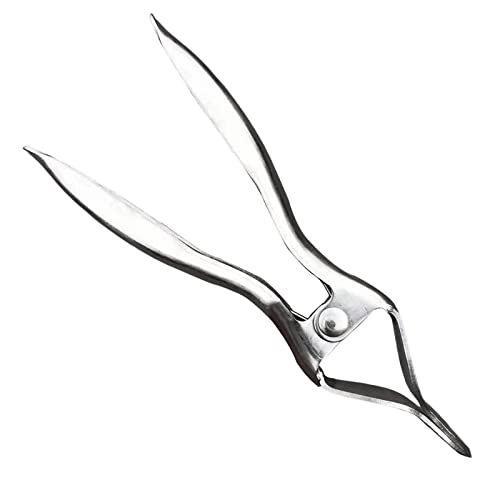 usefulbeauty Durian Opener, Durian Opener, Zangen-Werkzeug aus rostfreiem Edelstahl, multifunktional, schnell und sicher und zeitsparend usefulbeauty Durian Opener, Durian Opener, Zangen-Werkzeug aus rostfreiem Edelstahl, multifunktional, schnell und sicher und zeitsparend von usefulbeauty