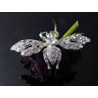 Brosche Antsecknadel Nadel Metall Strass Steine, neu von vendor-unknown