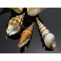 Muschelanhänger, Muschel, Perlmutt von vendor-unknown