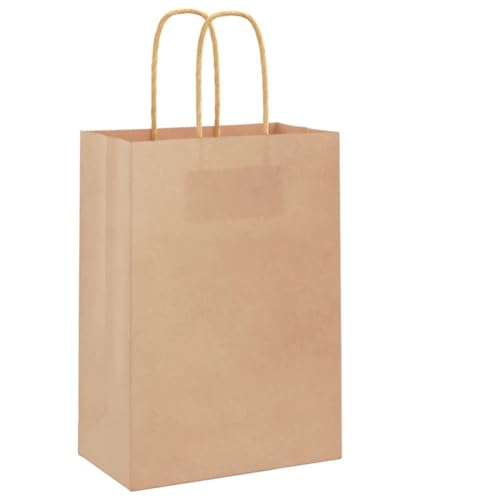vidaXL Papiertüten aus Kraftpapier, 250 Stück, mit braunen Griffen, 15 x 8 x 21 cm, Papiertüte, Geschenktüten aus Papier, Geschenktüte aus Kraftpapier von vidaXL