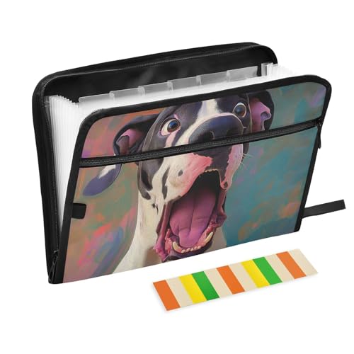 Cartoon-Dokumentenmappe mit Trennwänden, 13 Fächern, A4, Briefgröße mit Reißverschluss, für Ordner mit Taschen von voucong