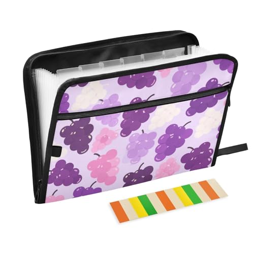 Cartoon-Mappe mit Verschluss, 13 Taschen, A4, Briefgröße mit Reißverschluss, für Aktenordner mit Reißverschluss, Violett Cartoon-Mappe mit Verschluss, 13 Taschen, A4, Briefgröße mit Reißverschluss, für Aktenordner mit Reißverschluss, Violett von voucong