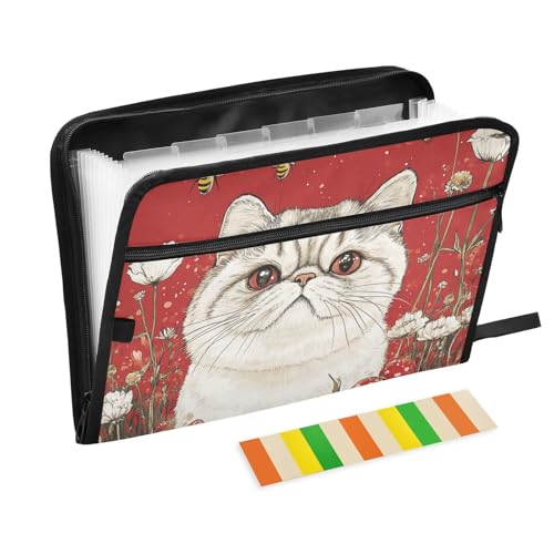 Cartoon-Mappe mit süßen, exotischen Kurzhaar-Katzen, weiß, mit Tasche, 13 Taschen, A4, Briefgröße mit Reißverschluss, für Erweiterungsmappe Cartoon-Mappe mit süßen, exotischen Kurzhaar-Katzen, weiß, mit Tasche, 13 Taschen, A4, Briefgröße mit Reißverschluss, für Erweiterungsmappe von voucong