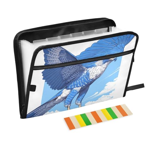 Fächermappe mit Cartoon-Bussard-Motiv, 13 Fächer, A4, Briefgröße, mit Reißverschluss, für Büro, Schule, Blau Fächermappe mit Cartoon-Bussard-Motiv, 13 Fächer, A4, Briefgröße, mit Reißverschluss, für Büro, Schule, Blau von voucong