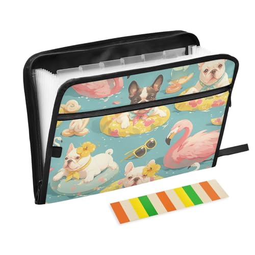 Fächermappe mit niedlichem Cartoon-Motiv, 13 Fächer, A4, Briefgröße mit Reißverschluss, für Schule, Zuhause, Büro, Klassenzimmer Fächermappe mit niedlichem Cartoon-Motiv, 13 Fächer, A4, Briefgröße mit Reißverschluss, für Schule, Zuhause, Büro, Klassenzimmer von voucong
