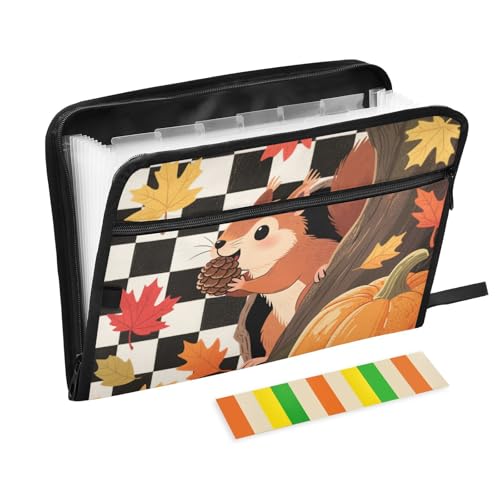 Hello Fall Autumn schwarz-weiß karierter Organizer, Fächermappe, 13 Fächer, A4, Briefgröße mit Reißverschluss, für Kunststoff-Aktenordner Hello Fall Autumn schwarz-weiß karierter Organizer, Fächermappe, 13 Fächer, A4, Briefgröße mit Reißverschluss, für Kunststoff-Aktenordner von voucong