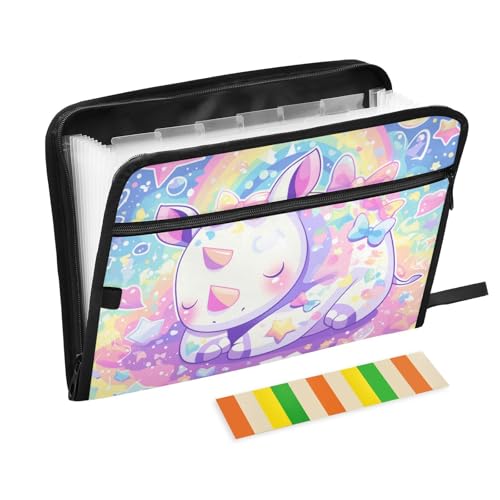 Rihino Dreamy Fächermappe mit 13 Fächern, A4, Briefgröße mit Reißverschluss, Violett Rihino Dreamy Fächermappe mit 13 Fächern, A4, Briefgröße mit Reißverschluss, Violett von voucong