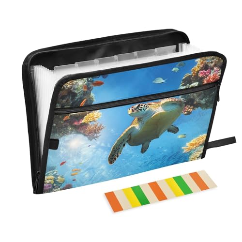 Schildkrötenfisch, Cartoon-Mappe mit Etiketten, 13 Taschen, A4, Briefgröße mit Reißverschluss, für Aktenhüllen Schildkrötenfisch, Cartoon-Mappe mit Etiketten, 13 Taschen, A4, Briefgröße mit Reißverschluss, für Aktenhüllen von voucong