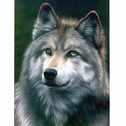 kreuzstich stickpackungen vorgedruckt bilder kinder erwachsene anfanger grauer Wolf kreuzstich set diy 11ct Baumwolle Stoff Vorsortierte Garne SchlafzimmerInnendekoration (40×50cm) von wangcatcai