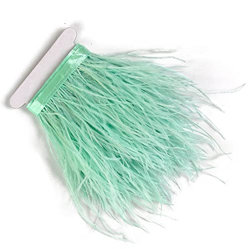 2,7 m 10-15 cm Mintgrün Straußenfedern Trim Fransen für DIY Kleid Nähen Handwerk Kostüme Dekoration von wangruida