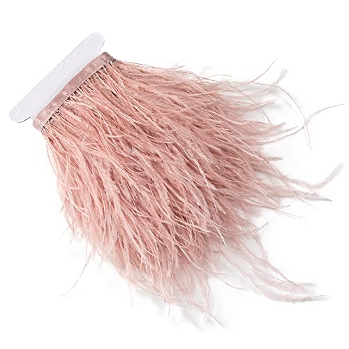 2,7 m 10-15 cm Leder rosa Straußenfedern Trim Fransen für DIY Kleid Nähen Handwerk Kostüme Dekoration 2,7 m 10-15 cm Leder rosa Straußenfedern Trim Fransen für DIY Kleid Nähen Handwerk Kostüme Dekoration von wanruida