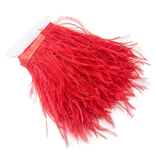 2,7 m 10–15 cm große rote Straußenfedern Trim Fransen für DIY Kleid Nähen Handwerk Kostüme Dekoration 2,7 m 10–15 cm große rote Straußenfedern Trim Fransen für DIY Kleid Nähen Handwerk Kostüme Dekoration von wanruida
