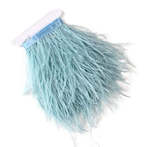 2,7 m 10–15 cm hellblaue Straußenfedern, Fransen für DIY Kleid Nähen Handwerk Kostüme Dekoration 2,7 m 10–15 cm hellblaue Straußenfedern, Fransen für DIY Kleid Nähen Handwerk Kostüme Dekoration von wanruida