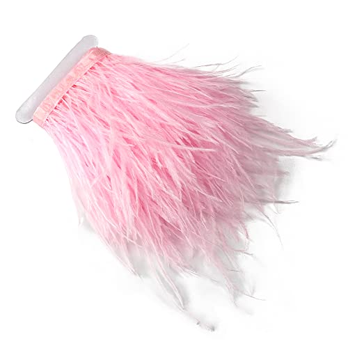 wangruida 2,7 m 10–15 cm Hellrosa Straußenfedern, Fransen für DIY Kleid Nähen Handwerk Kostüme Dekoration wangruida 2,7 m 10–15 cm Hellrosa Straußenfedern, Fransen für DIY Kleid Nähen Handwerk Kostüme Dekoration von wanruida