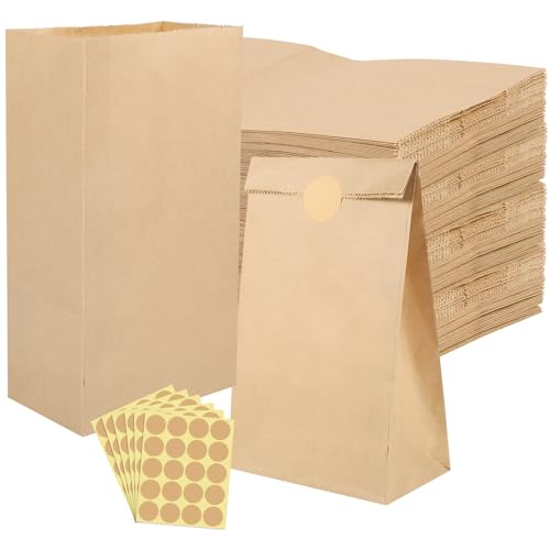woric 120 Stück Papiertüten Braun, 24x13x8cm Geschenktüten Klein Kraftpapiertüten Mitgebseltüten DIY Candy bar Tüten zum Befüllen für Hochzeit Kindergeburtstag von woric
