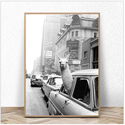 wymhzp Lama im Taxi New York City Wandkunst Leinwand Malerei Schwarz Weiß Poster Und Drucke Tier Wandbilder Für Wohnzimmer Wohnkultur 50x70cm Kein Rahmen wymhzp Lama im Taxi New York City Wandkunst Leinwand Malerei Schwarz Weiß Poster Und Drucke Tier Wandbilder Für Wohnzimmer Wohnkultur 50x70cm Kein Rahmen von wymhzp