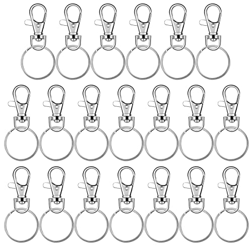 20 Stück Schlüsselanhänger Ringe Schlüsselringe Karabinerhaken mit Geteilten Schlüsselringen (Silber), Geeignet zum Aufhängen von Schlüsseln usw von xianynow