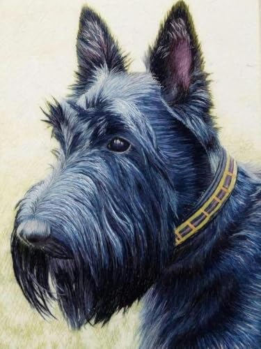 yade-show Erwachsene Crossstitch Kit 11 CT Anfänger Stickerei Cross Stitch Kit DIY Superior Handwerk Stitchen Kit-Heimdekoration Scottish Terrier-40 X50CM yade-show Erwachsene Crossstitch Kit 11 CT Anfänger Stickerei Cross Stitch Kit DIY Superior Handwerk Stitchen Kit-Heimdekoration Scottish Terrier-40 X50CM von yade-show